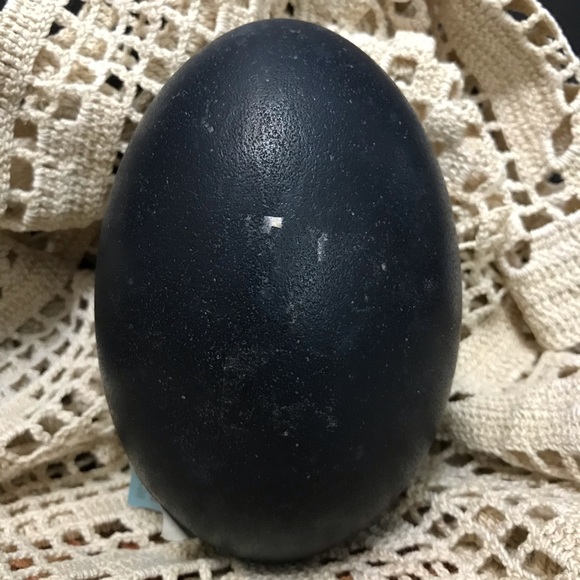 Emu eggs - Picture 4 of 5